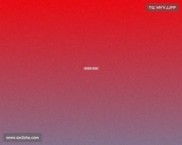 赛事专家组 赛事专属